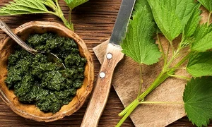 1 urzici cu smantana jpg jpeg