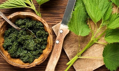 1 urzici cu smantana jpg jpeg