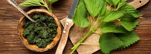 1 urzici cu smantana jpg jpeg