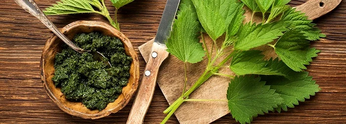 Prețul urzicilor a explodat în unele piețe / Foto: Shutterstock