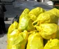 colectare pet-uri ploiesti