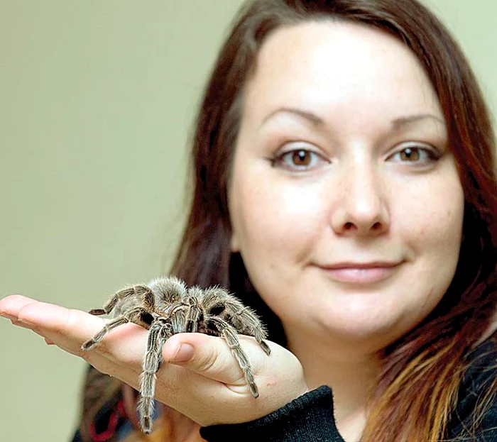 Creşte şi tarantule