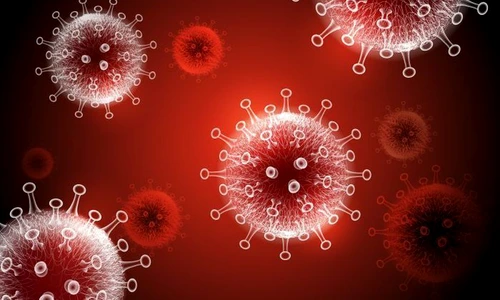 1 shutterstock 1656386548 jpg jpeg