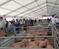 agromalim