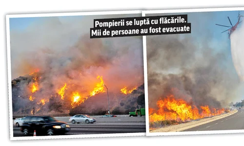 14 focuri jpeg