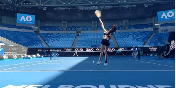 buzarnescu