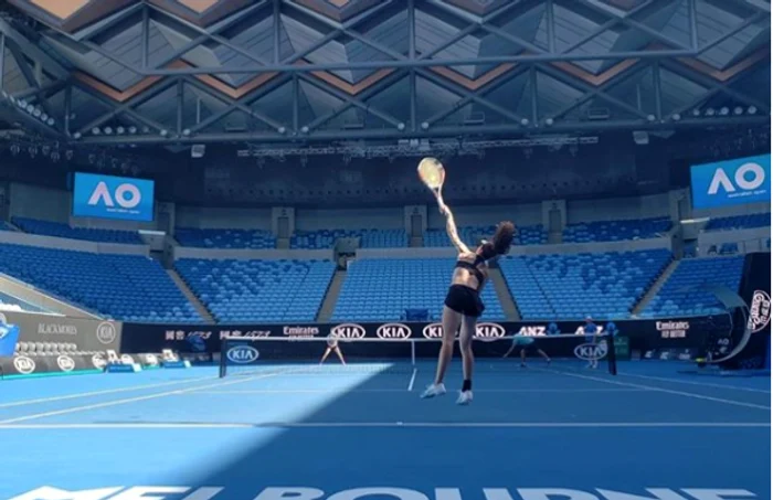 buzarnescu