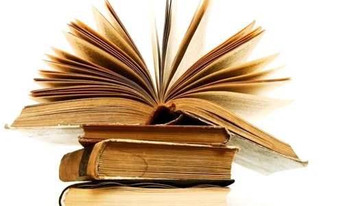 Controverse: lucrare istorică științifică, scrisă în închisoare, suspectată de plagiat jpeg