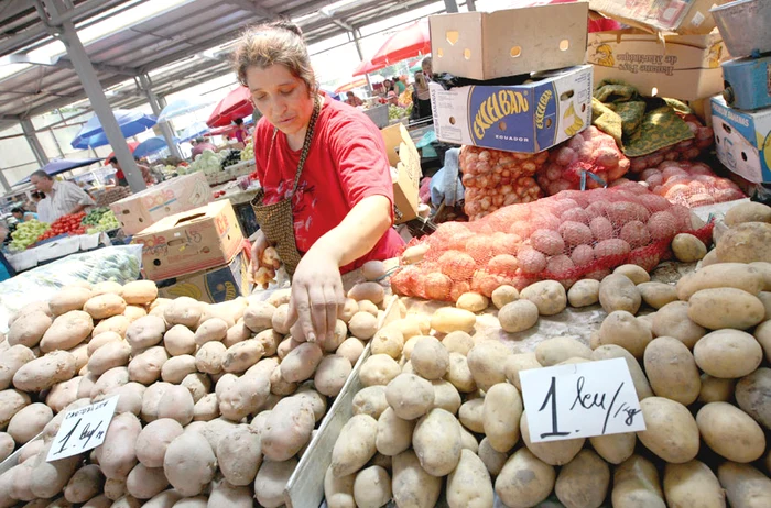Irina vinde cartofii  cu 1 leu pe  kilogram, iar  lângă ea se dau  cu 0,8 bani