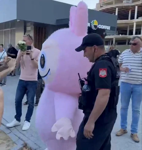 La protest au fost mai multe mascote. FOTO: Agora.md