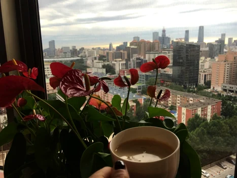 Laura Cosoi 00 6 1300x975 jpeg