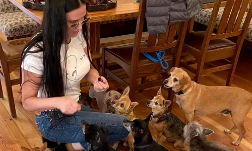 demi moore haita de caini jpeg