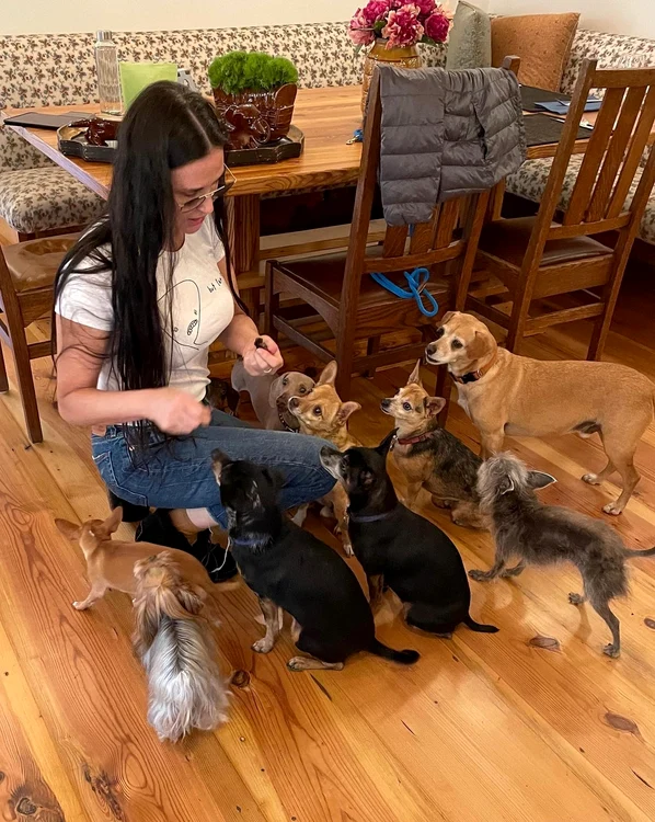 
    Când Demi Moore îi strigă, zece cățeluși apar în jurul eifoto: Instagram  