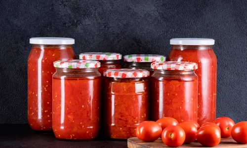 shutterstock 2534169509 jpg