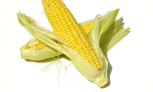 porumb fiert jpeg