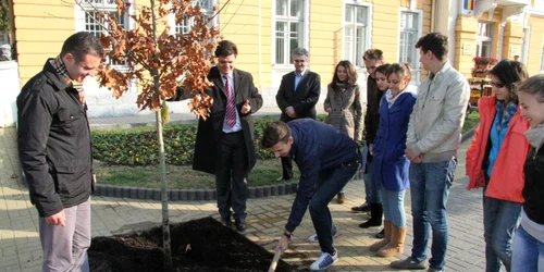 Elevii au plantat „stejarii de la Primaria Ramnicului”