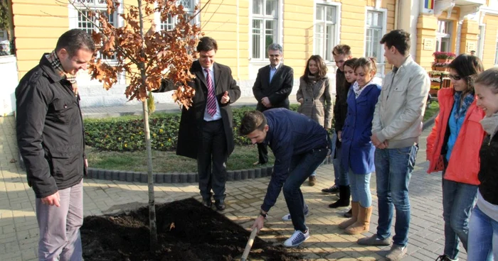 Elevii au plantat „stejarii de la Primaria Ramnicului”