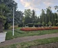 Orașul Jibou  Foto Daniel Guță ADEVĂRUL 49 jpg