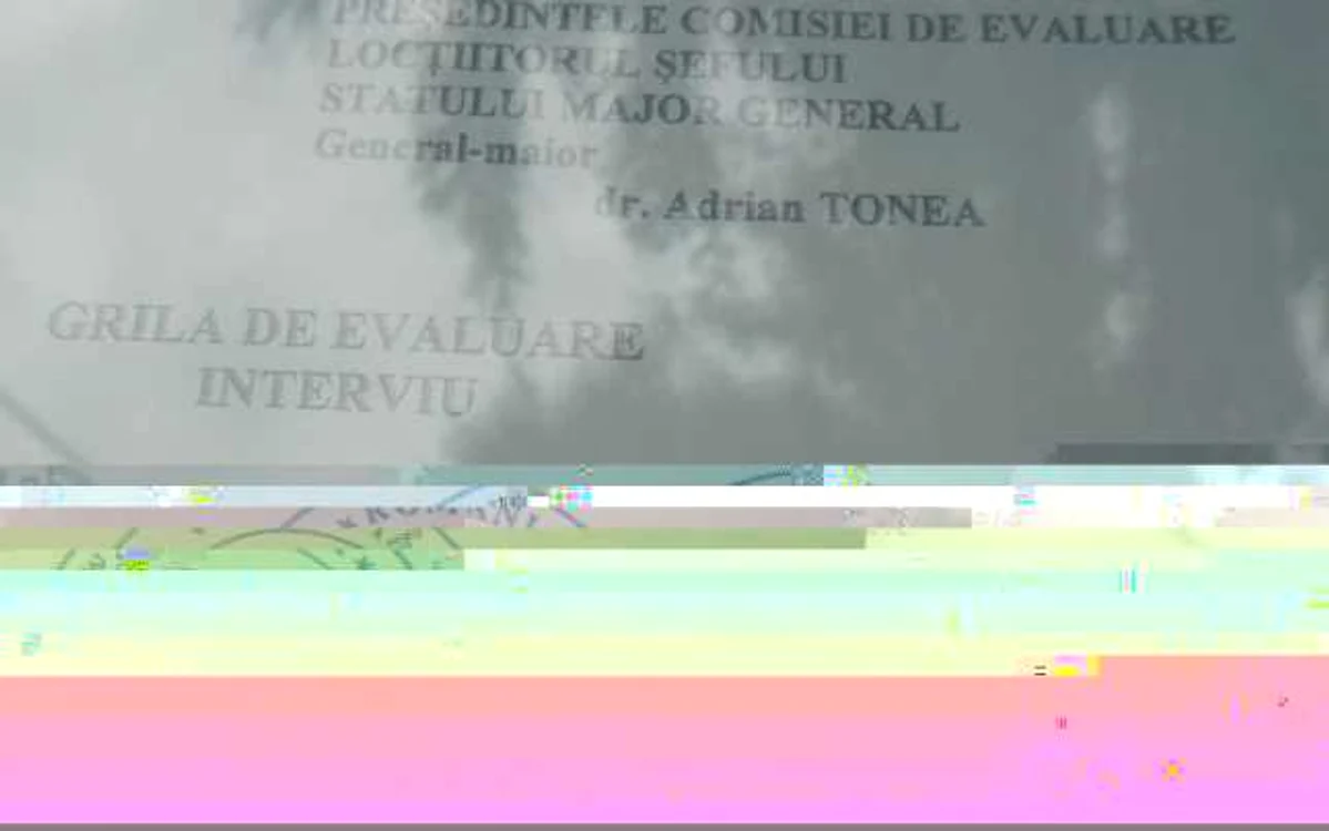 avizier1