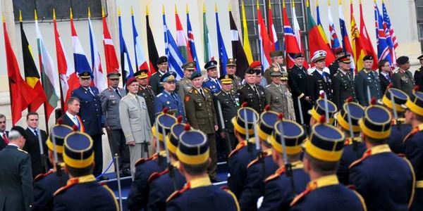 comitetul nato