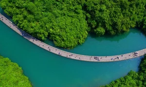 pod rau china jpg