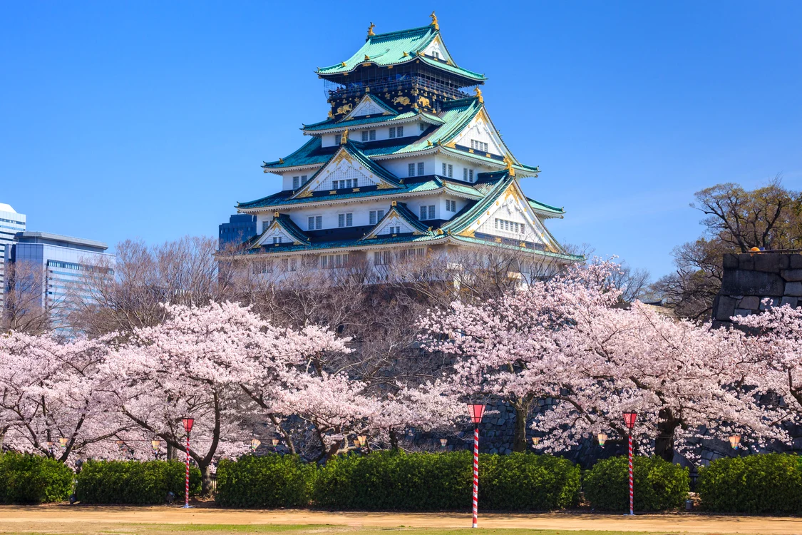 Castelul Osaka în sezonul florilor de cireș, Japonia