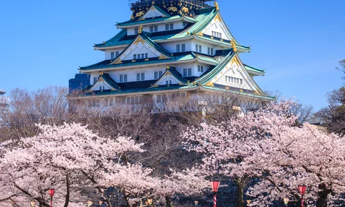 Castelul Osaka în sezonul florilor de cireș, Osaka, Japonia Exact Tours jpg
