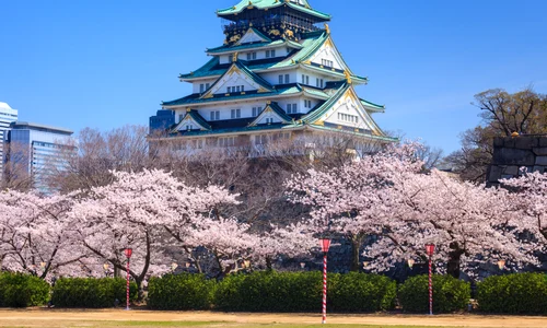 Castelul Osaka în sezonul florilor de cireș, Osaka, Japonia Exact Tours jpg