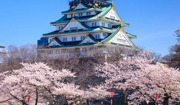Castelul Osaka în sezonul florilor de cireș, Osaka, Japonia Exact Tours jpg