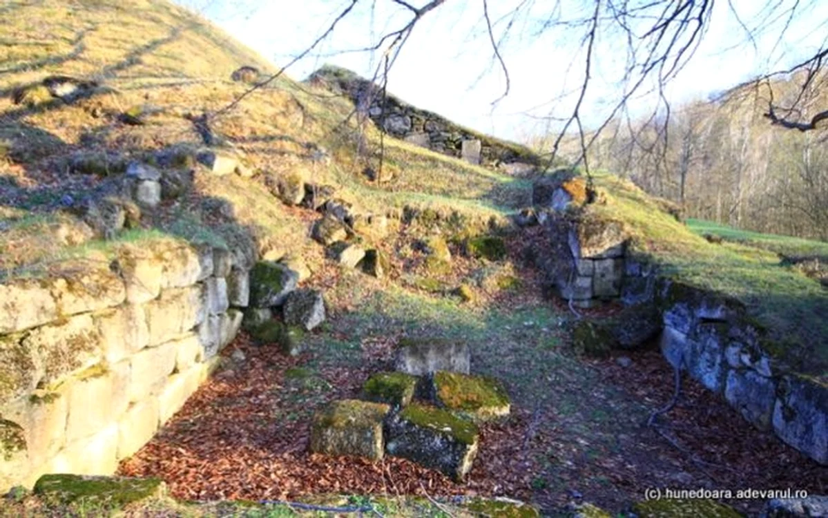 Cetatea Blidaru4 JPG jpeg