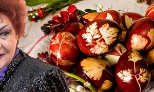 banner elena merisoreanu jpg