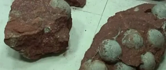 Peste 40 de ouă de dinozaur au fost descoperite pe un şantier din ChinaFoto: Captura Youtube