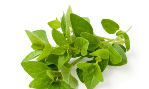 1 66258 original jpg jpeg