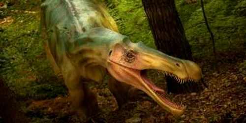 Dino Park de la Râşnov aşteaptă vizitatori