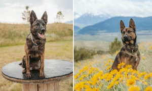 Caine, foto Facebook jpg