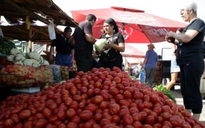 Constanta: Sute de producători agricoli sunt aşteptaţi la Ziua Recoltei