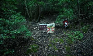 padurea aokigahara captura video jpg