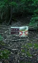 padurea aokigahara captura video jpg