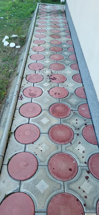 Acesta a pierdut o cantitate mare de sânge, așa că a sunat la 112 / foto: Primăria Glodeni