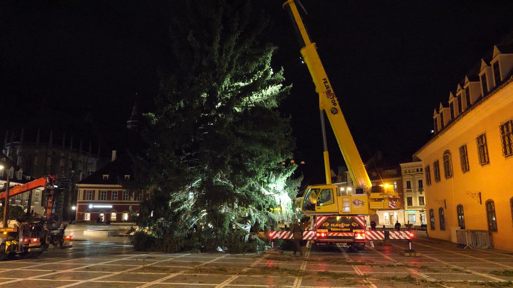 Brașovul are din nou un brad uriaș în Piața Sfatului. Efort uriaș și operațiuni dificile pentru transportarea lui FOTO