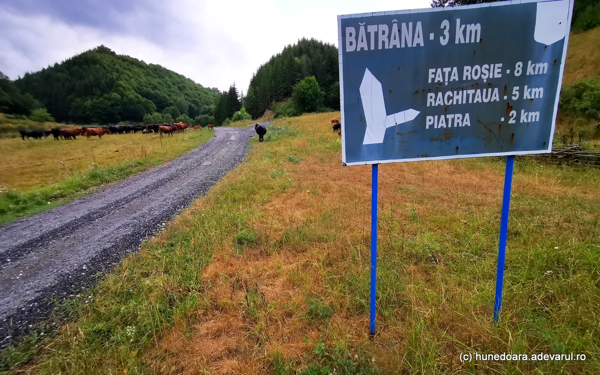 Drumul spre cătunele pustii ale comunei Bătrâna. Foto: Daniel Guță