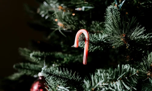 thumbnail historia kelly sikkema Uf CRS0LEmQ unsplash jpg