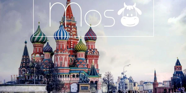 orase logo boredpanda raluca popescu 