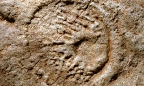 Cele mai vechi organisme din lume au 2,1 miliarde de ani jpeg