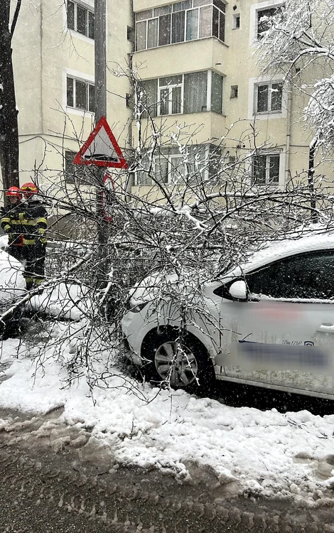 Mașină avariată de crengile unui copac. FOTO ISU Argeș