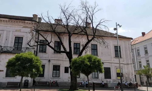 Stejarul secular plantat de regele Ferdinand şi regina Maria la Timișoara s a uscat / FOTO  jpeg