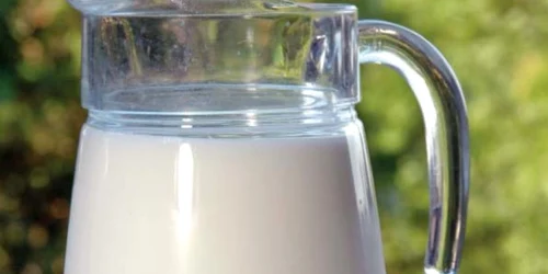 Conţinutul de grăsime din laptele de capră este mai redus în comparaţie cu cel de vacă