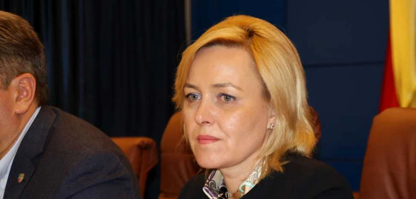 Carmen Dan, Ministrul Afacerilor Interne FOTO- Arhivă