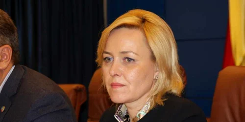 carmen dan ministrul afacerilor interne