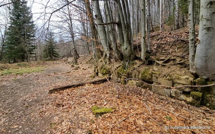 Cetatea dacică Fețele Albe. Foto: Daniel Guță. ADEVĂRUL